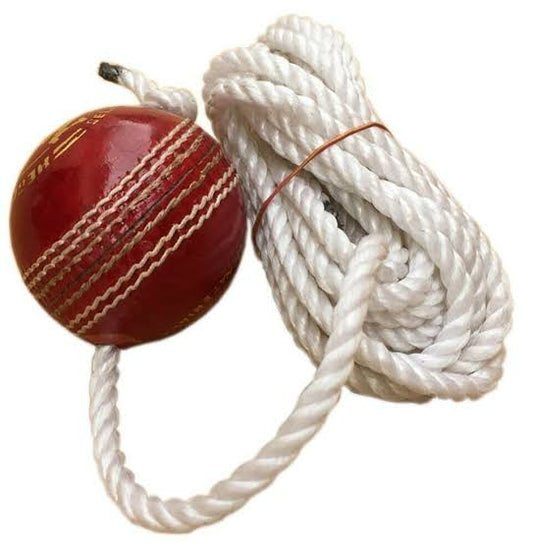 Practice Hanging Ball